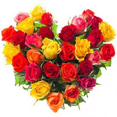 Luminous Hearty Selection of 30 Mixed Roses